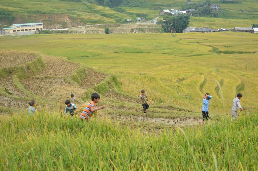 Cau May Homestay Sapa Exterior foto