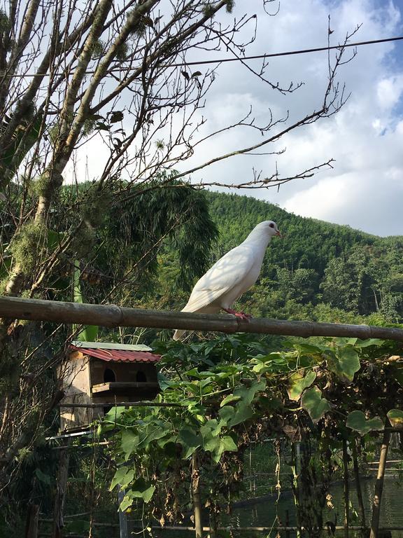 Cau May Homestay Sapa Exterior foto